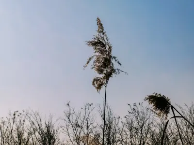 Bit4win Casino Farsímaforrit